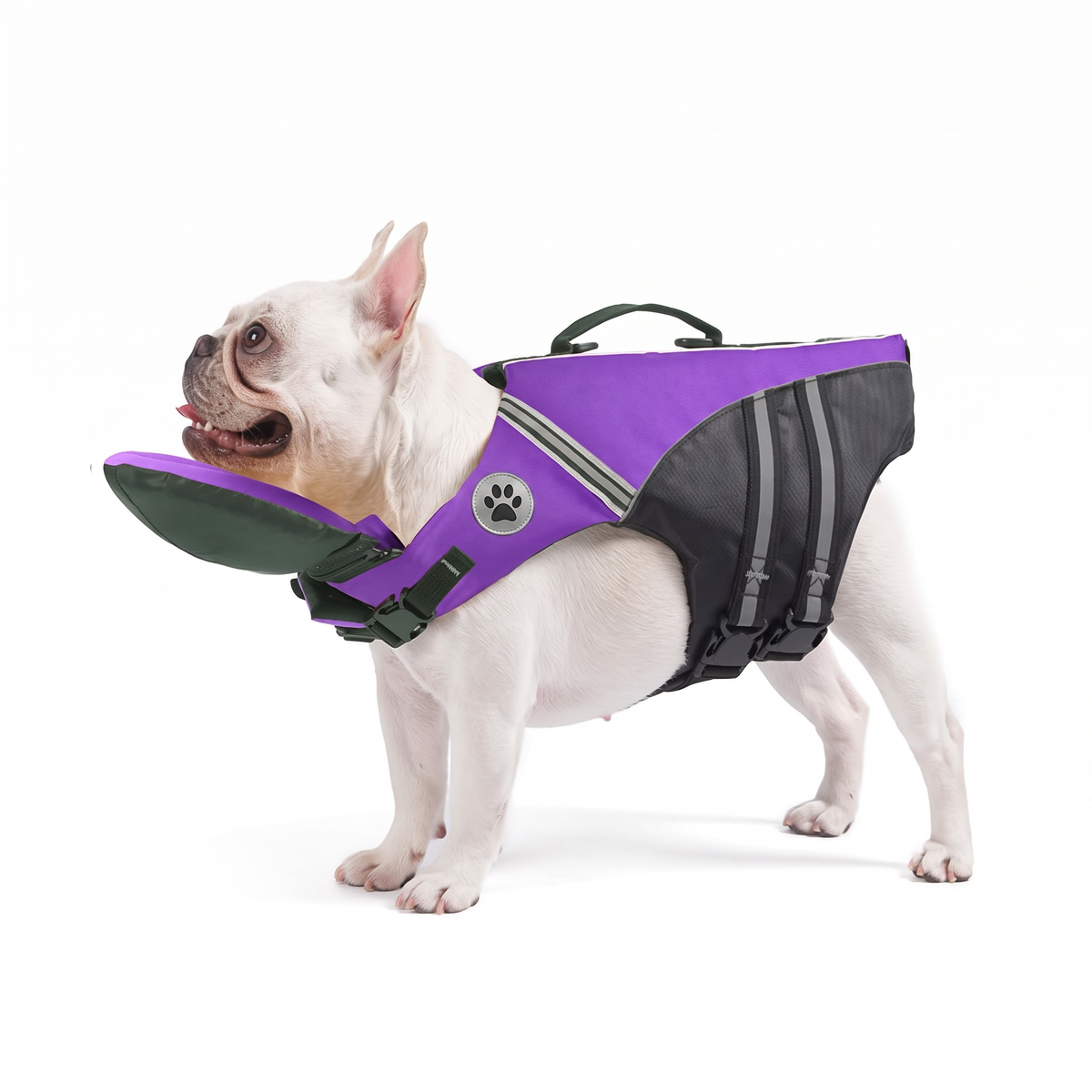 FloatPaw dog life jacket with rescue handle in purple