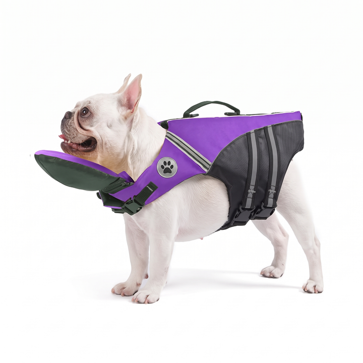 FloatPaw dog life jacket with rescue handle in purple