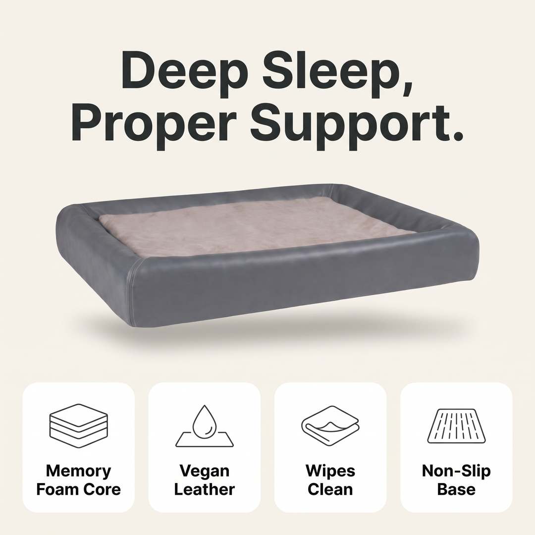 Orthopedic dog bed features: memory foam core, vegan leather, wipes clean, non-slip base