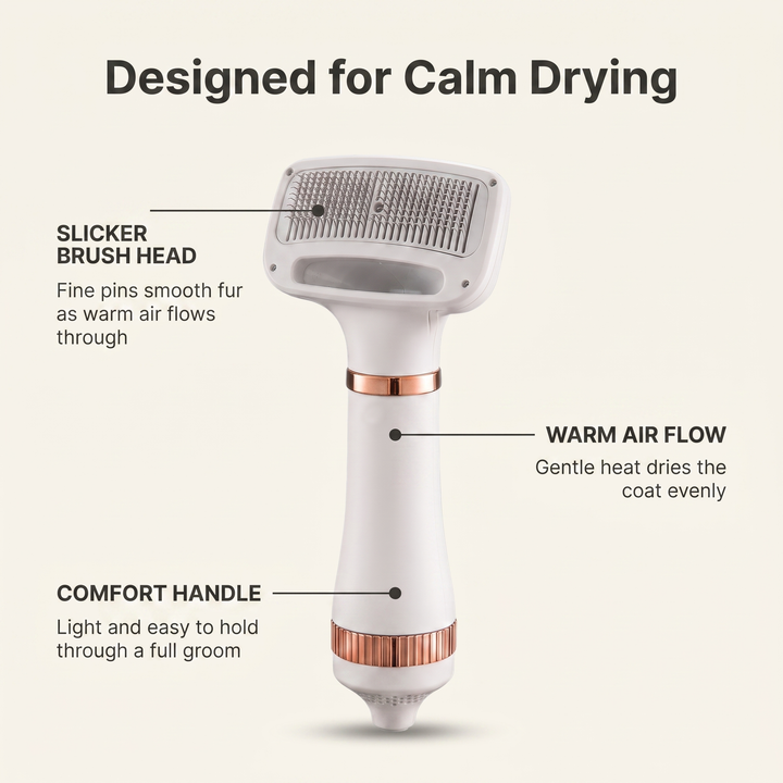 Annotated dog dryer brush showing slicker brush head, warm air flow and comfort handle