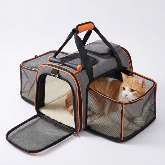 Happy ginger cat resting inside the expanded mesh side of the grey expandable cat carrier with orange trim