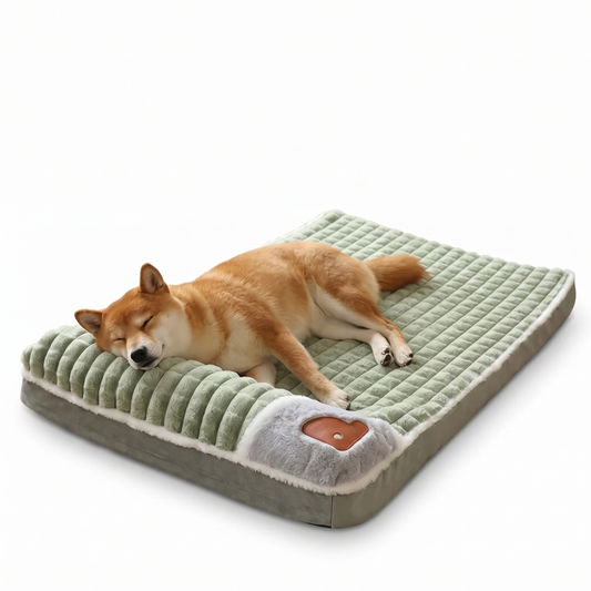 Dog resting on a sage green memory foam dog bed with washable removable cover