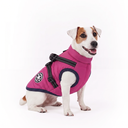 Dog coat Rose