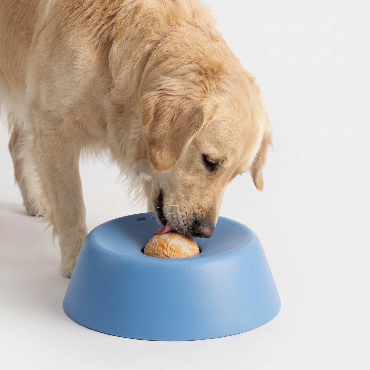 Golden retriever licking the rolling ball of a blue slow feeder dog bowl
