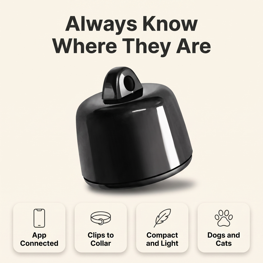 Pet tracker feature overview: app connected, clips to collar, compact and light, for dogs and cats