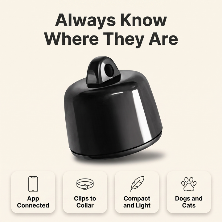 Pet tracker feature overview: app connected, clips to collar, compact and light, for dogs and cats