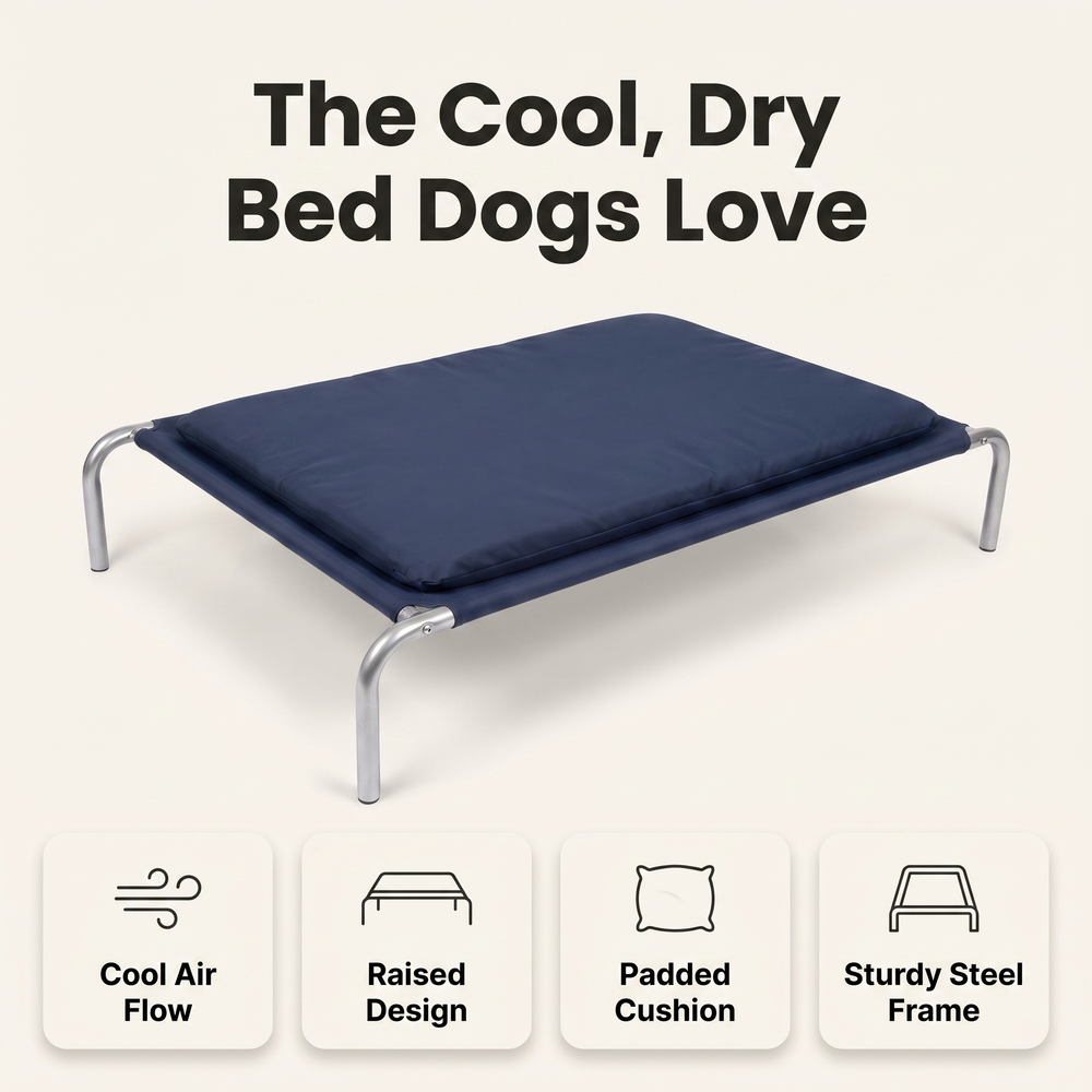 Raised dog bed feature overview: cool air flow, raised design, padded cushion, sturdy steel frame