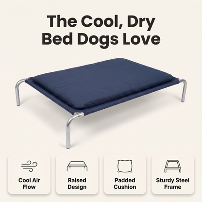 Raised dog bed feature overview: cool air flow, raised design, padded cushion, sturdy steel frame