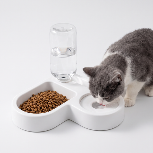 Cat drinking from the automatic pet feeder with water dispenser, 2 in 1 food and water bowl
