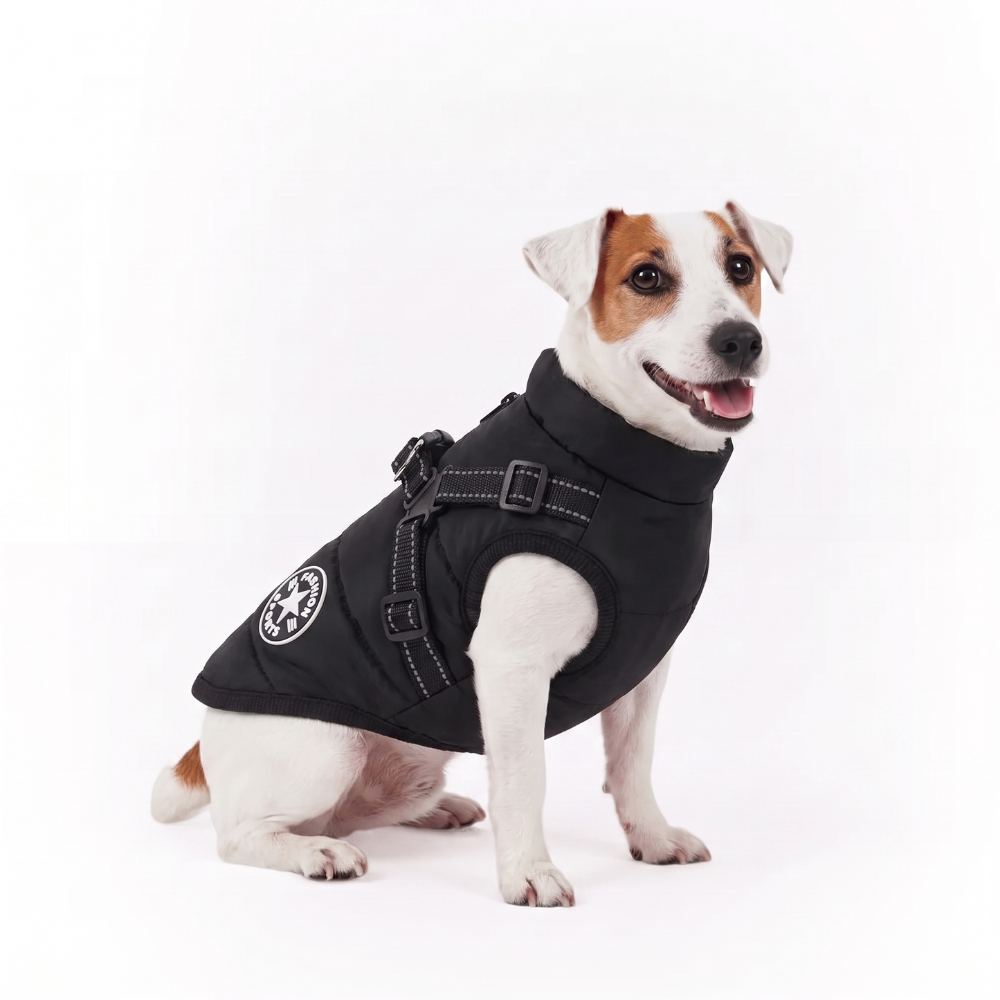 Dog coat Black