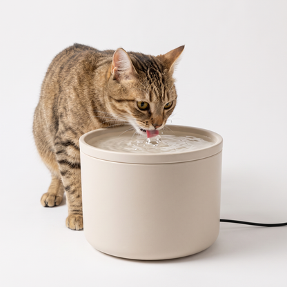 Cat drinking from the PureFlow ceramic cat water fountain with gently bubbling water