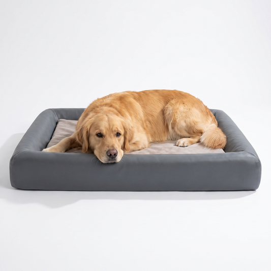 Dog resting on orthopedic dog bed with memory foam in grey vegan leather