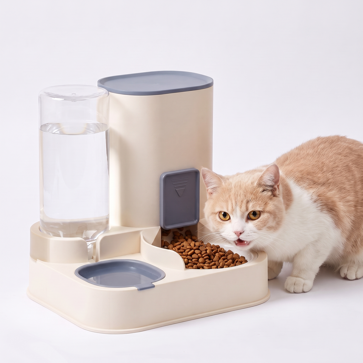 Automatic cat feeder blue