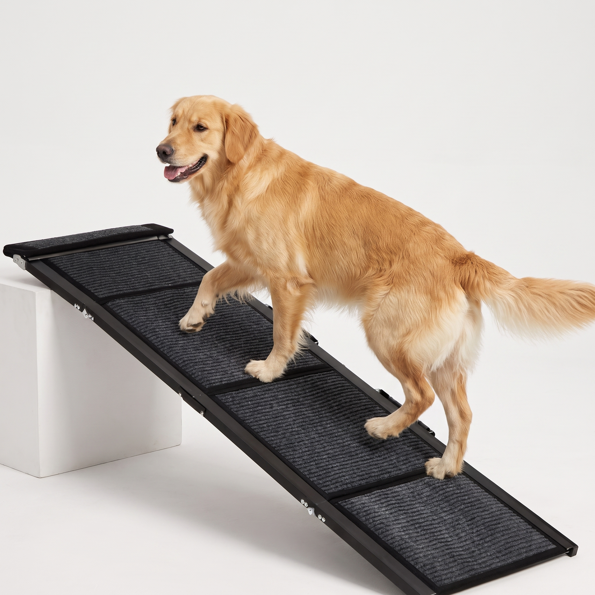 Golden retriever walking up a folding dog ramp with non-slip carpet surface