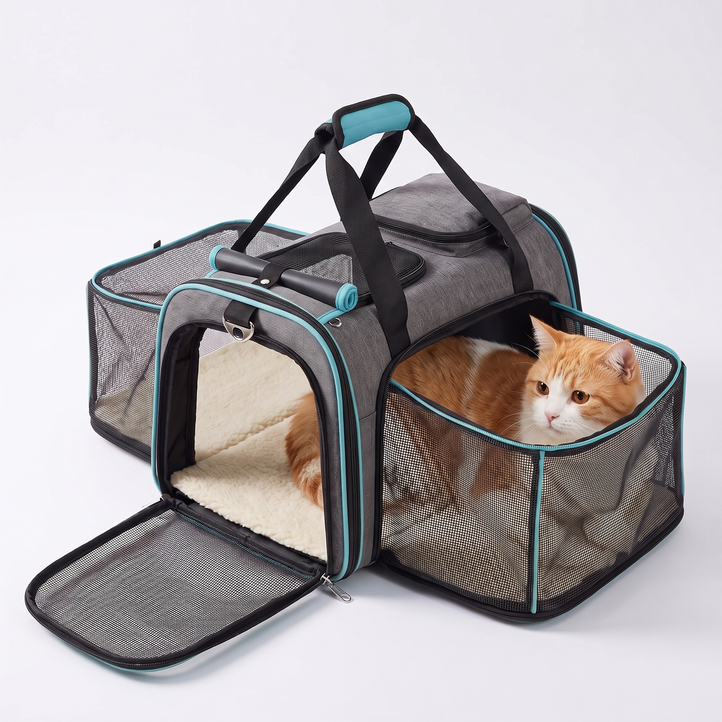 Cat carrier blue trim
