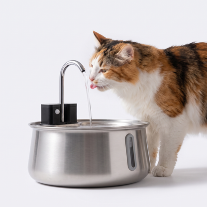 Cat drinking from stainless steel cat water fountain with gooseneck tap
