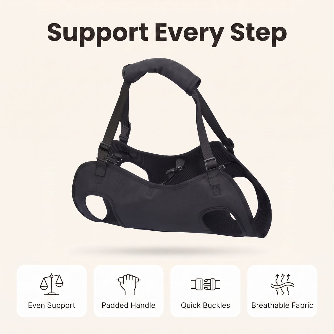 Dog harness feature overview: even support, padded handle, quick buckles, breathable fabric