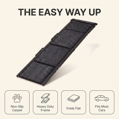 Folding dog ramp feature overview: non-slip carpet, heavy duty frame, folds flat, fits most cars
