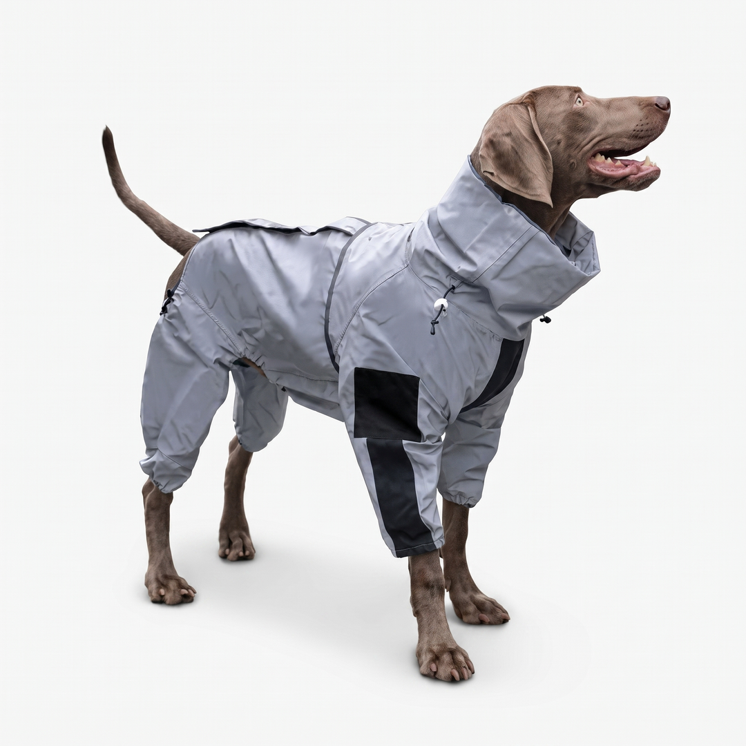 Happy dog wearing a grey waterproof dog coat rain suit covering all four legs