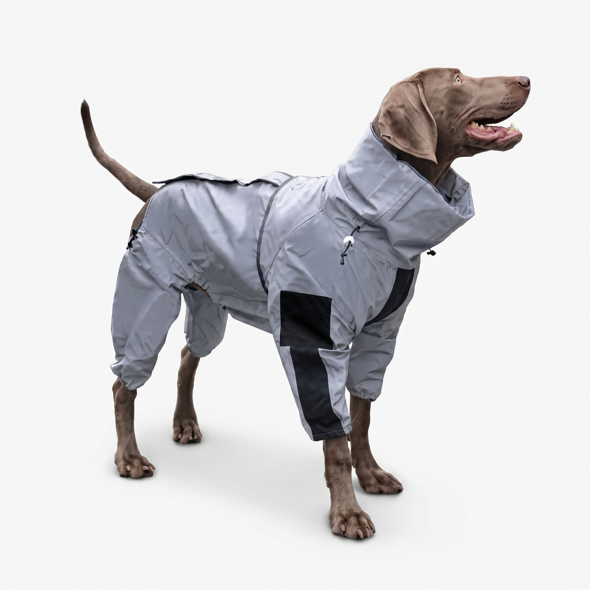 Happy dog wearing a grey waterproof dog coat rain suit covering all four legs