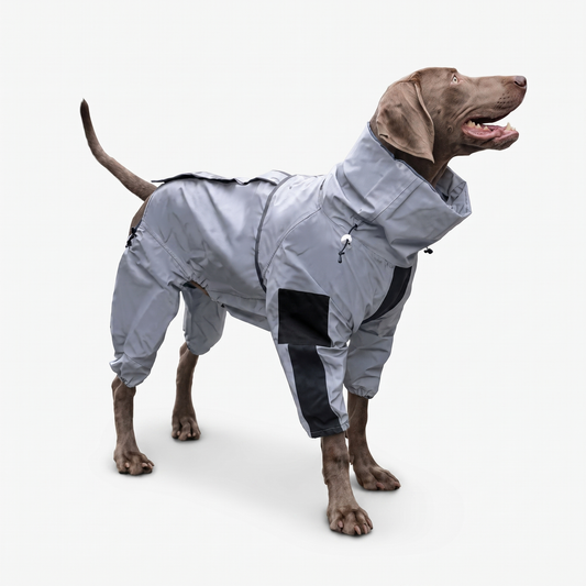 Happy dog wearing a grey waterproof dog coat rain suit covering all four legs
