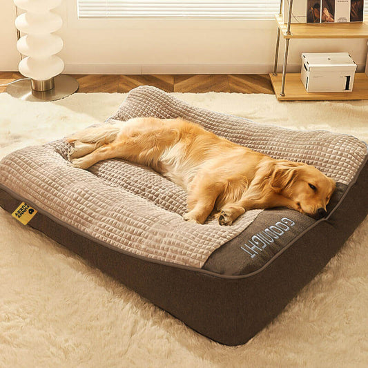 Large orthopedic dog sofa bed with bolster and headrest, dog resting
