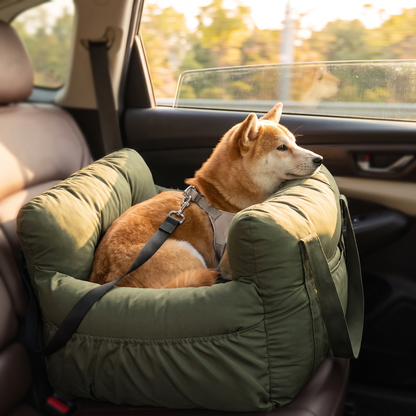 Small dog relaxing in the raised booster seat watching the scenery from the car window