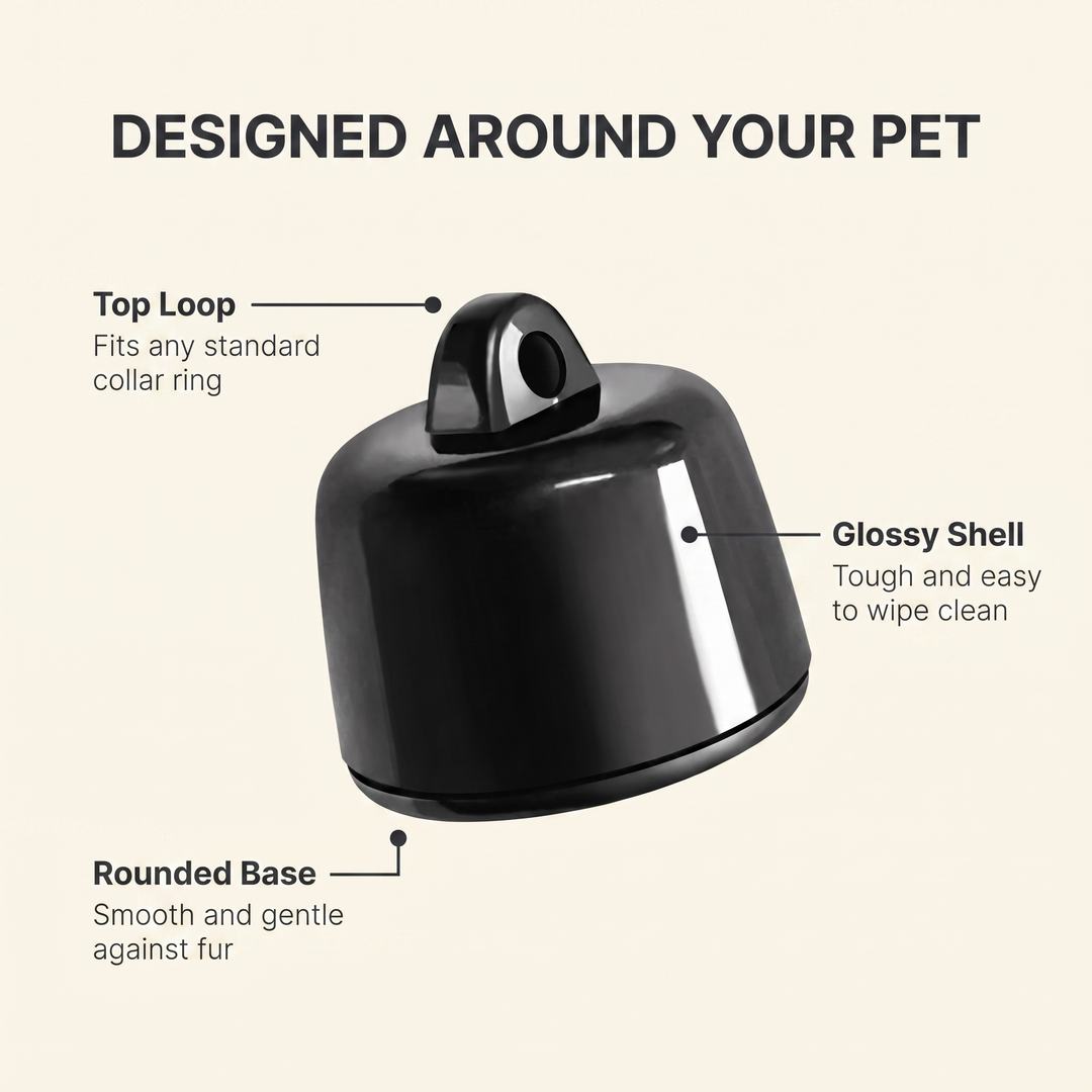Annotated diagram of the pet tracker showing top loop, glossy shell and rounded base