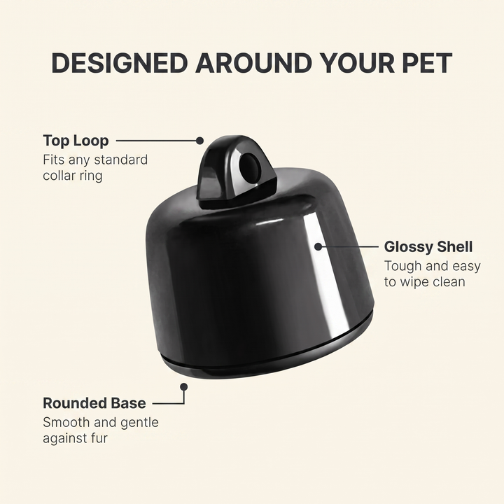 Annotated diagram of the pet tracker showing top loop, glossy shell and rounded base
