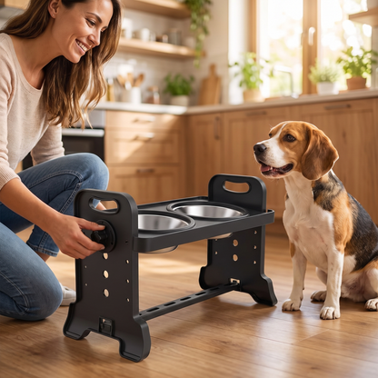 Owner turning the side locking knob to adjust the raised dog bowl stand height for a beagle