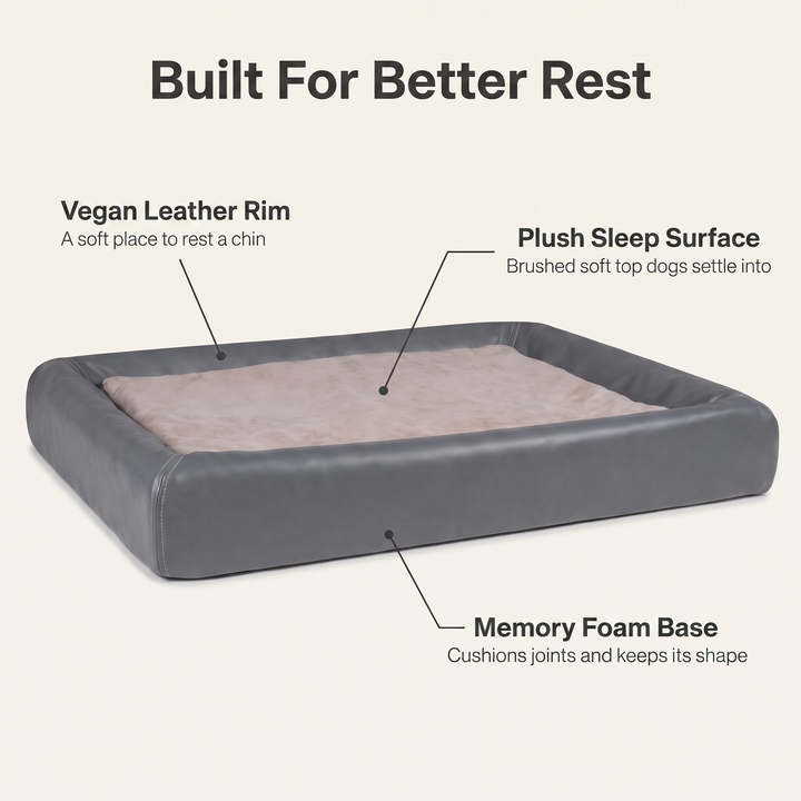 Orthopedic dog bed explained: vegan leather rim, plush sleep surface, memory foam base