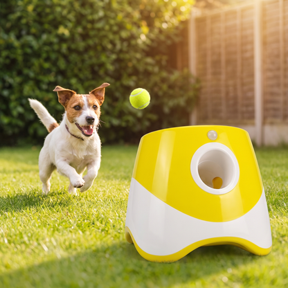 Jack russell terrier chasing a ball launched by the automatic dog ball launcher in a garden
