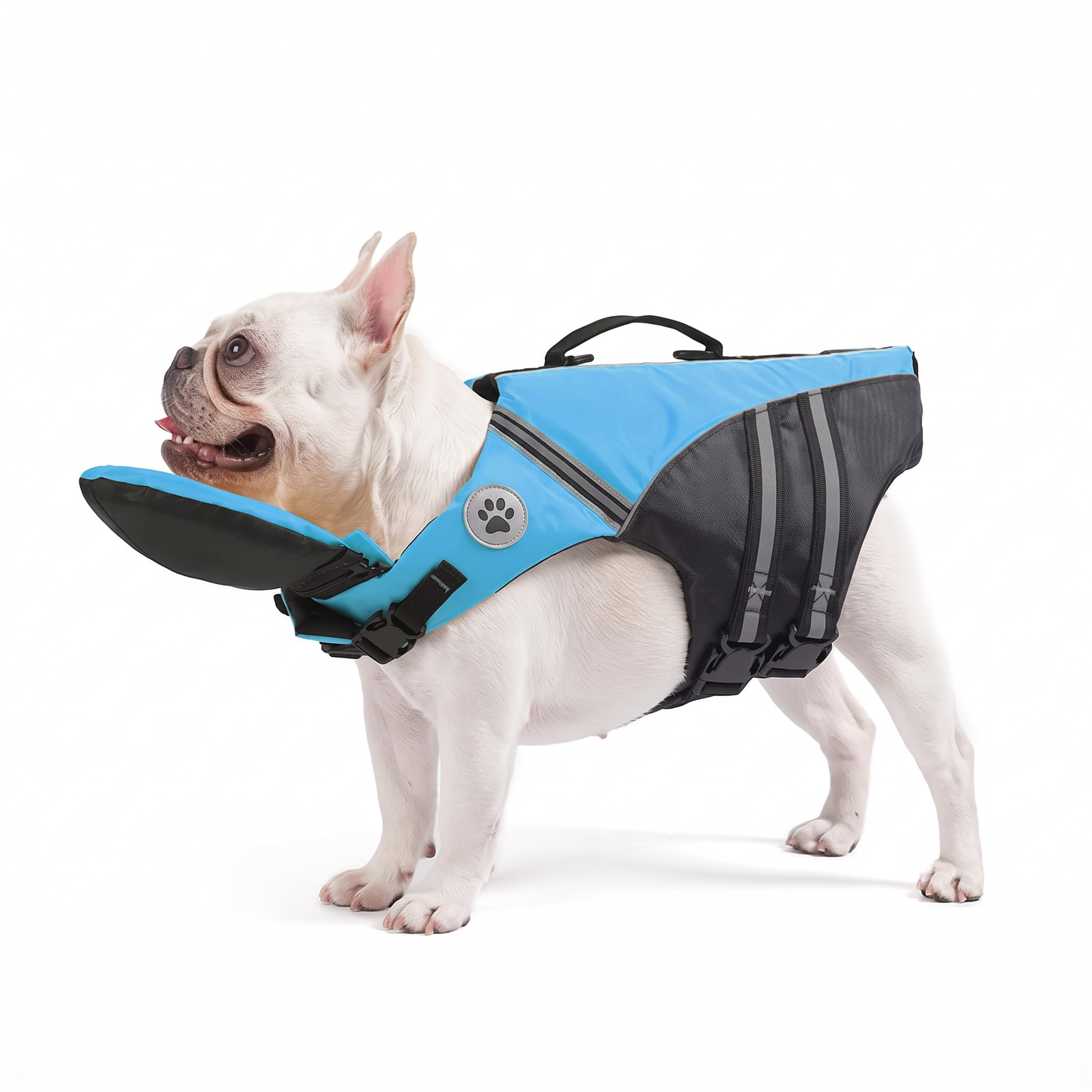 FloatPaw dog life jacket with rescue handle in blue