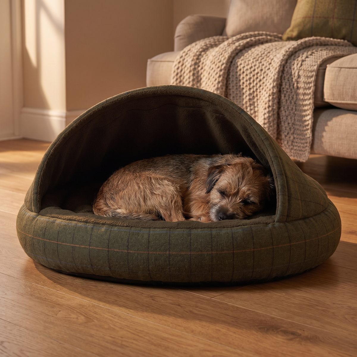 Terrier asleep inside the green tweed covered dog bed at home