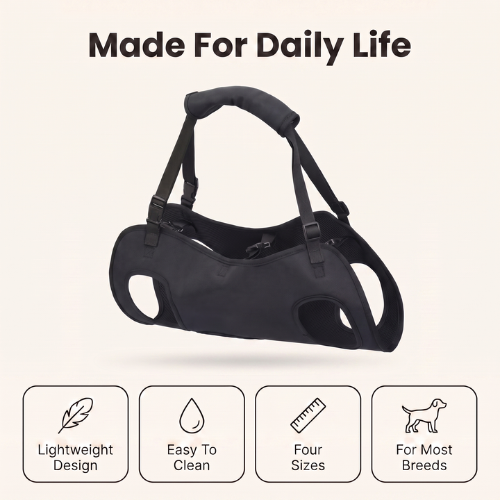 Dog harness daily life features: lightweight design, easy to clean, four sizes, for most breeds