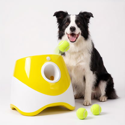 Happy border collie sitting beside the automatic dog ball launcher with mini tennis balls