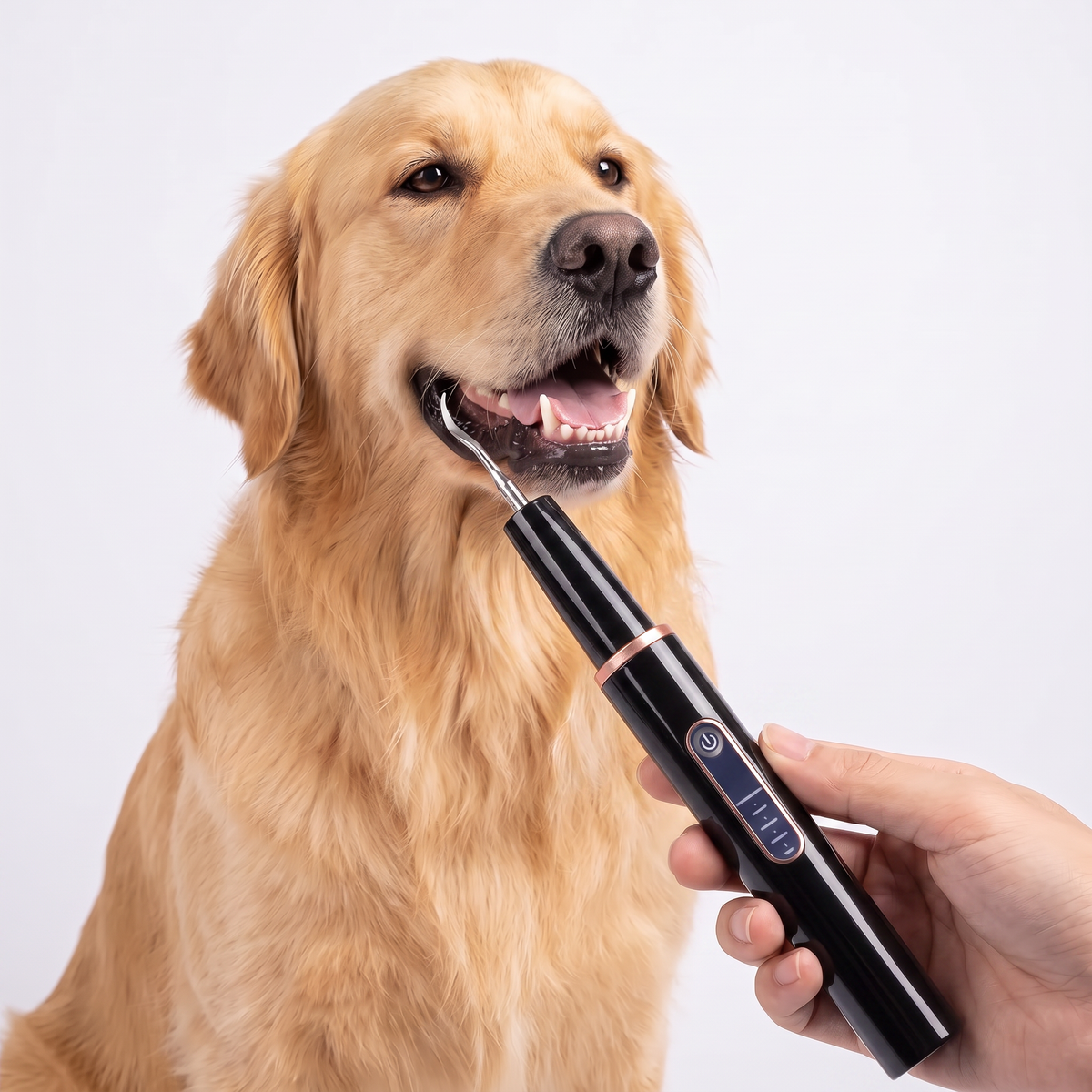 Dog teeth cleaning kit black
