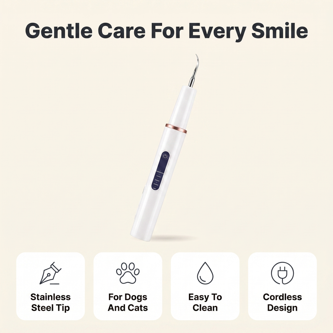 Ultrasonic dog tooth cleaner details: stainless steel tip, for dogs and cats, easy to clean, cordless