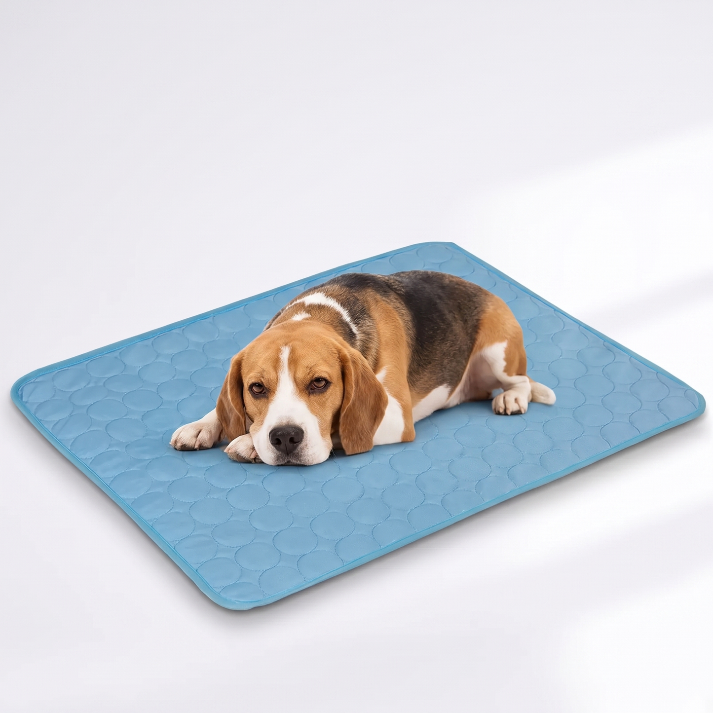 Dog relaxing on the Povelio light blue quilted cooling mat, studio photo
