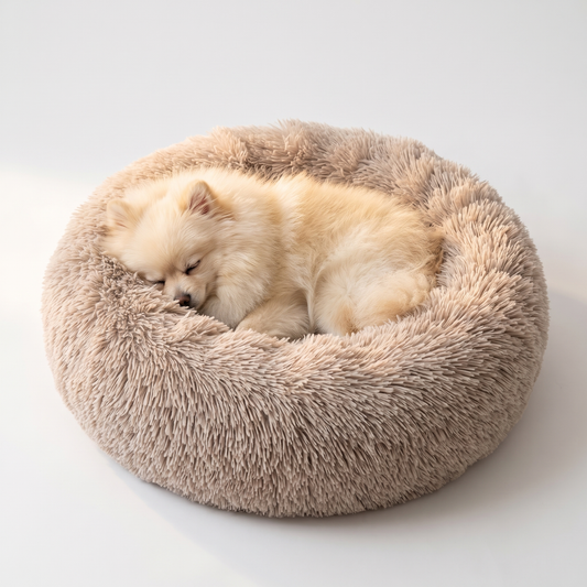 Small dog curled up asleep in the calming donut pet bed