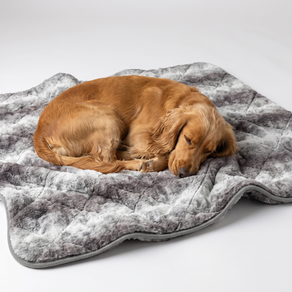 Dog sleeping on a luxury marbled grey faux fur dog blanket with quilted diamond stitching