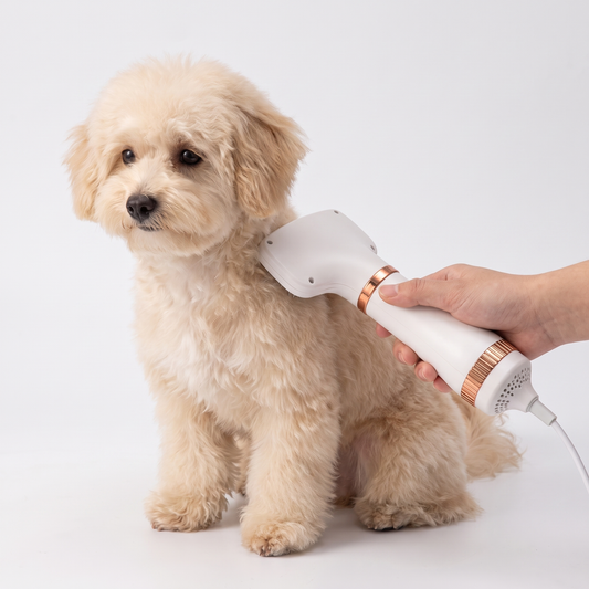 Fluffy small dog being groomed with the 2 in 1 pet grooming dryer and slicker brush