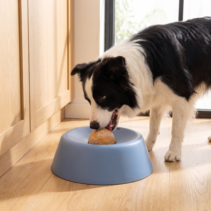 Slow Feeder Dog Bowl with Rolling Enrichment Ball