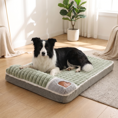 Orthopedic Memory Foam Dog Bed with Washable Removable Cover