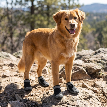 Dog Boots with Waterproof Grip Soles, Paw Protection Set of 4