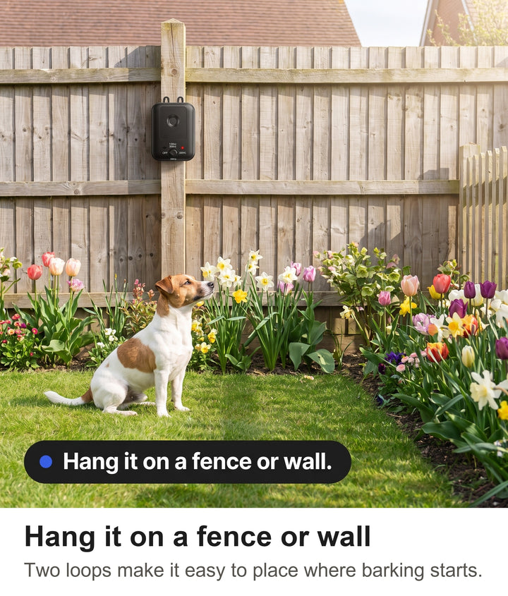 Anti bark device hanging on a garden fence post with a calm Jack Russell terrier on the lawn