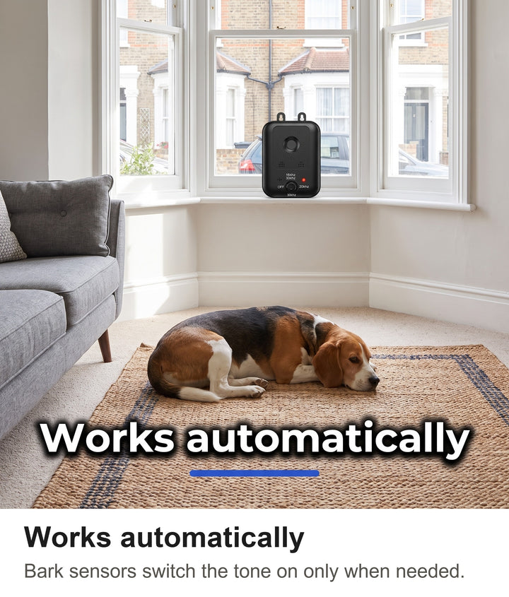 Relaxed beagle lying by the window with the anti bark device on the sill