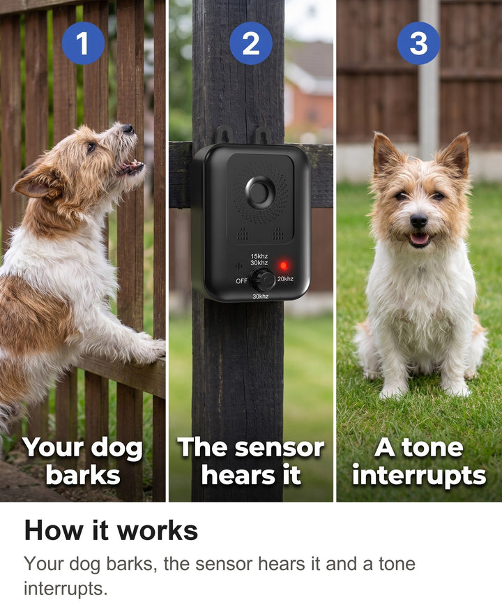 How the anti bark device works: the dog barks, the sensor hears it, a tone interrupts