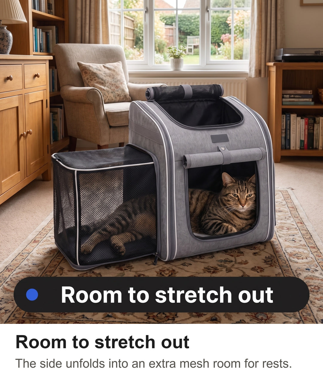 Tabby cat stretched out in the expanded side room of the cat carrier