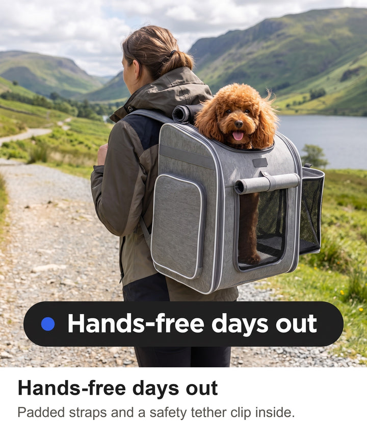 Woman walking in the Lake District with a poodle in the dog carrier backpack
